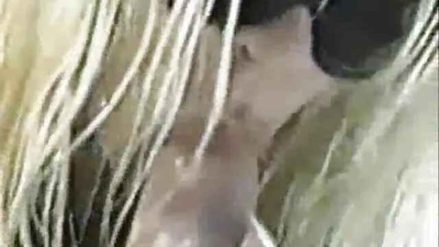 Les film porno long francais gars se défoncent avec de telles filles juteuses